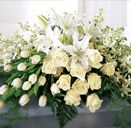 Sēru floristika