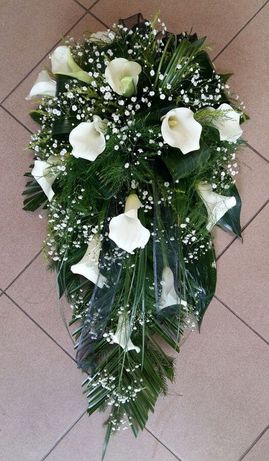 Sēru štrausi 22